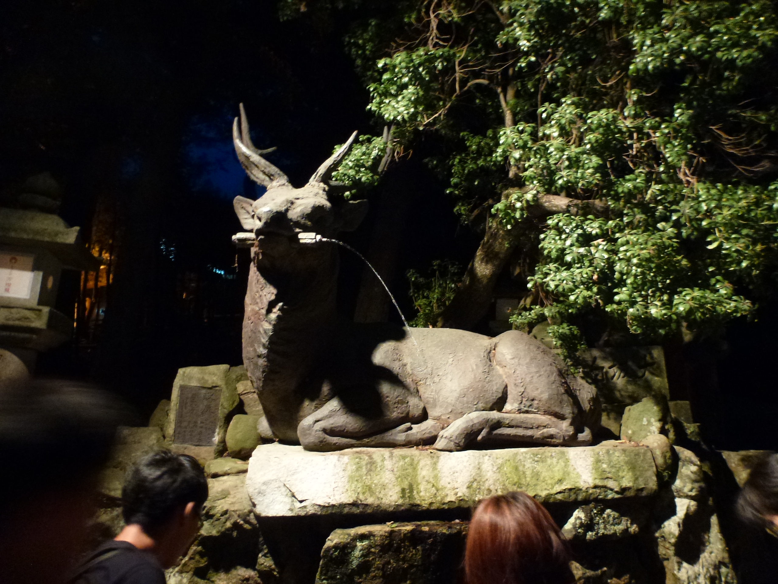 P1120465.JPG