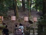 img0039.jpg