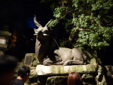 img0062.jpg