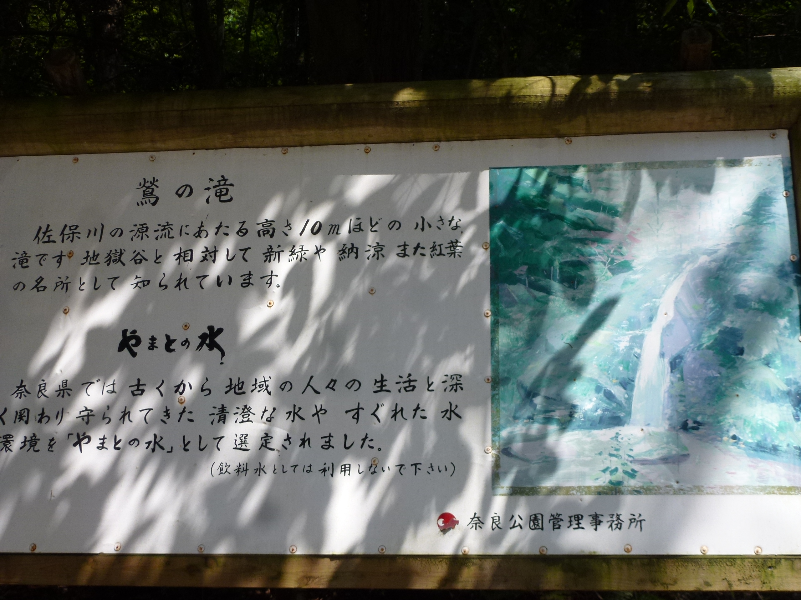 P1120596.JPG
