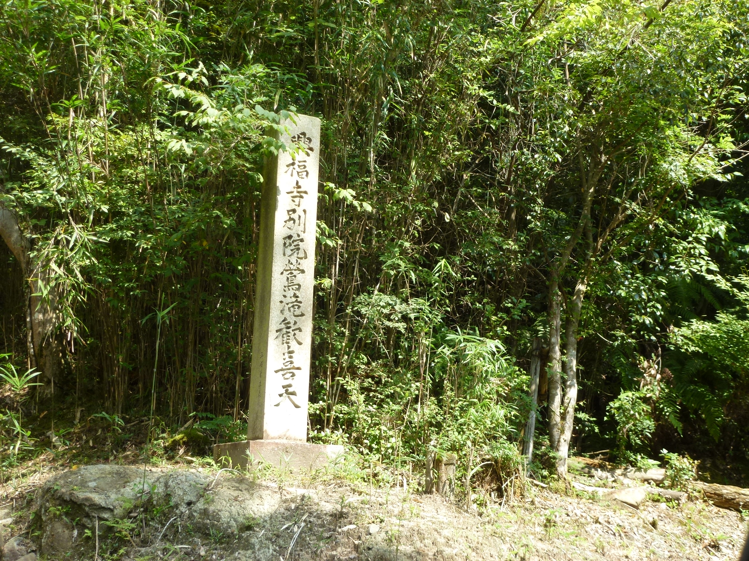 P1120597.JPG