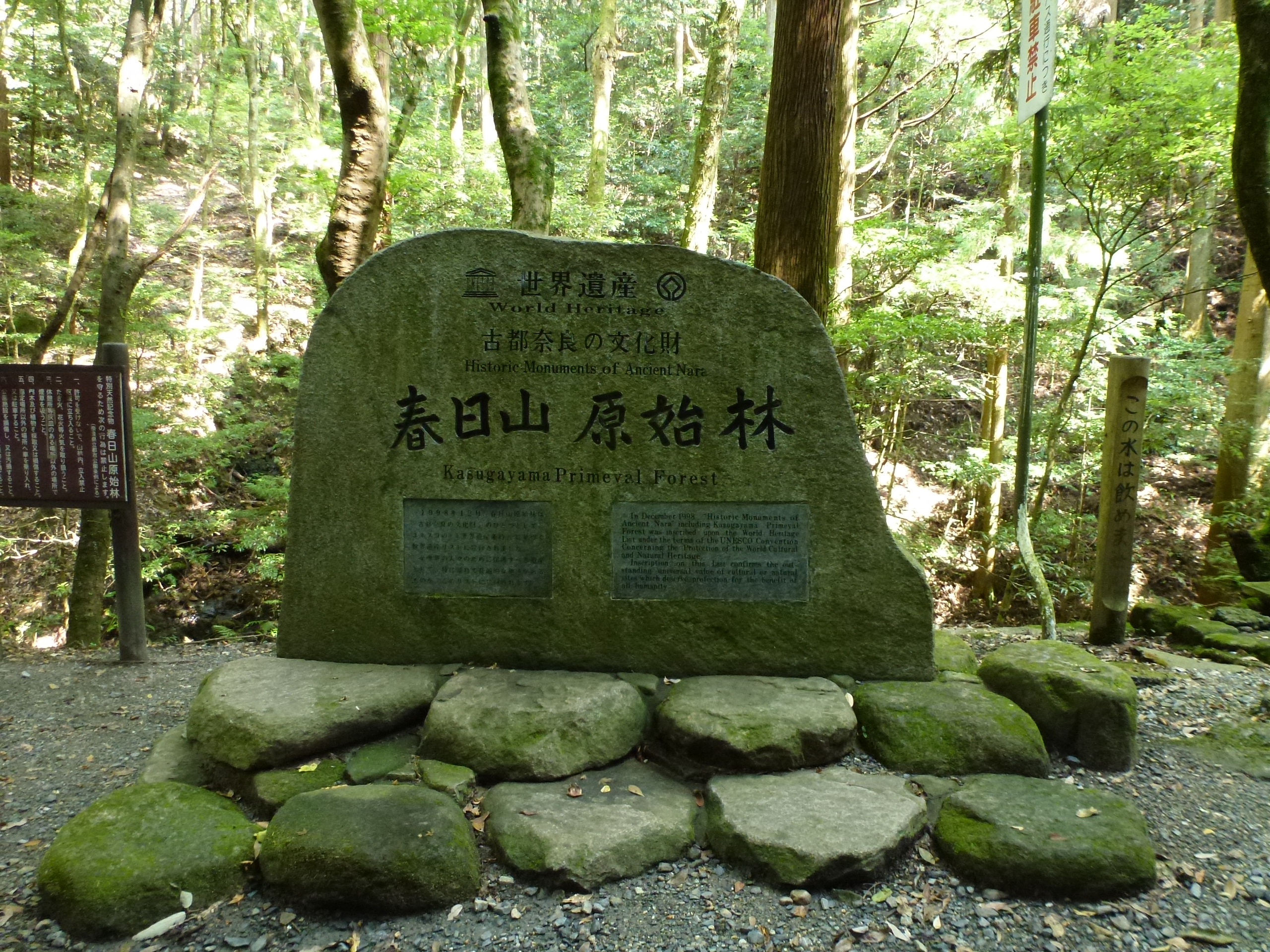 P1120598.JPG