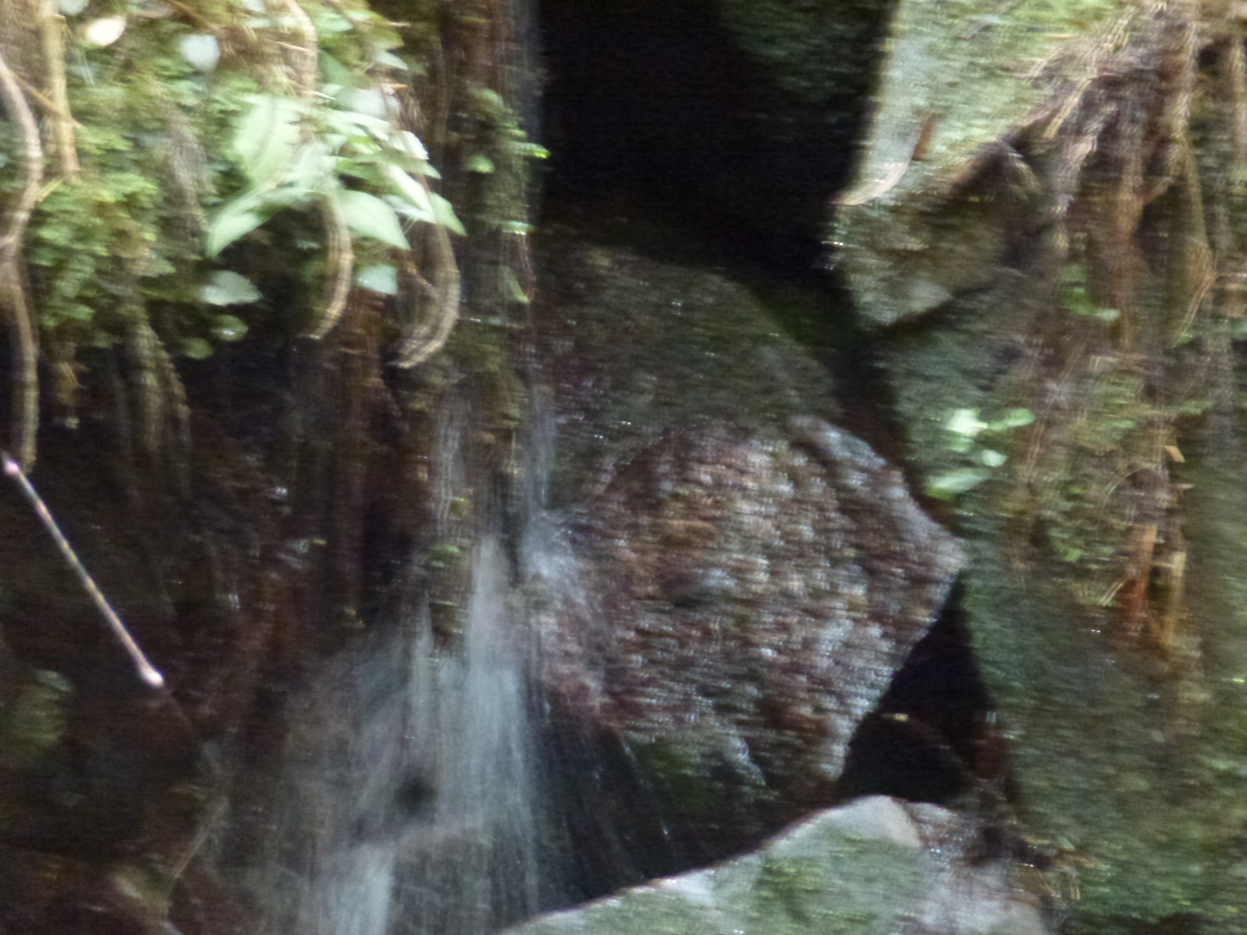 P1120600.JPG