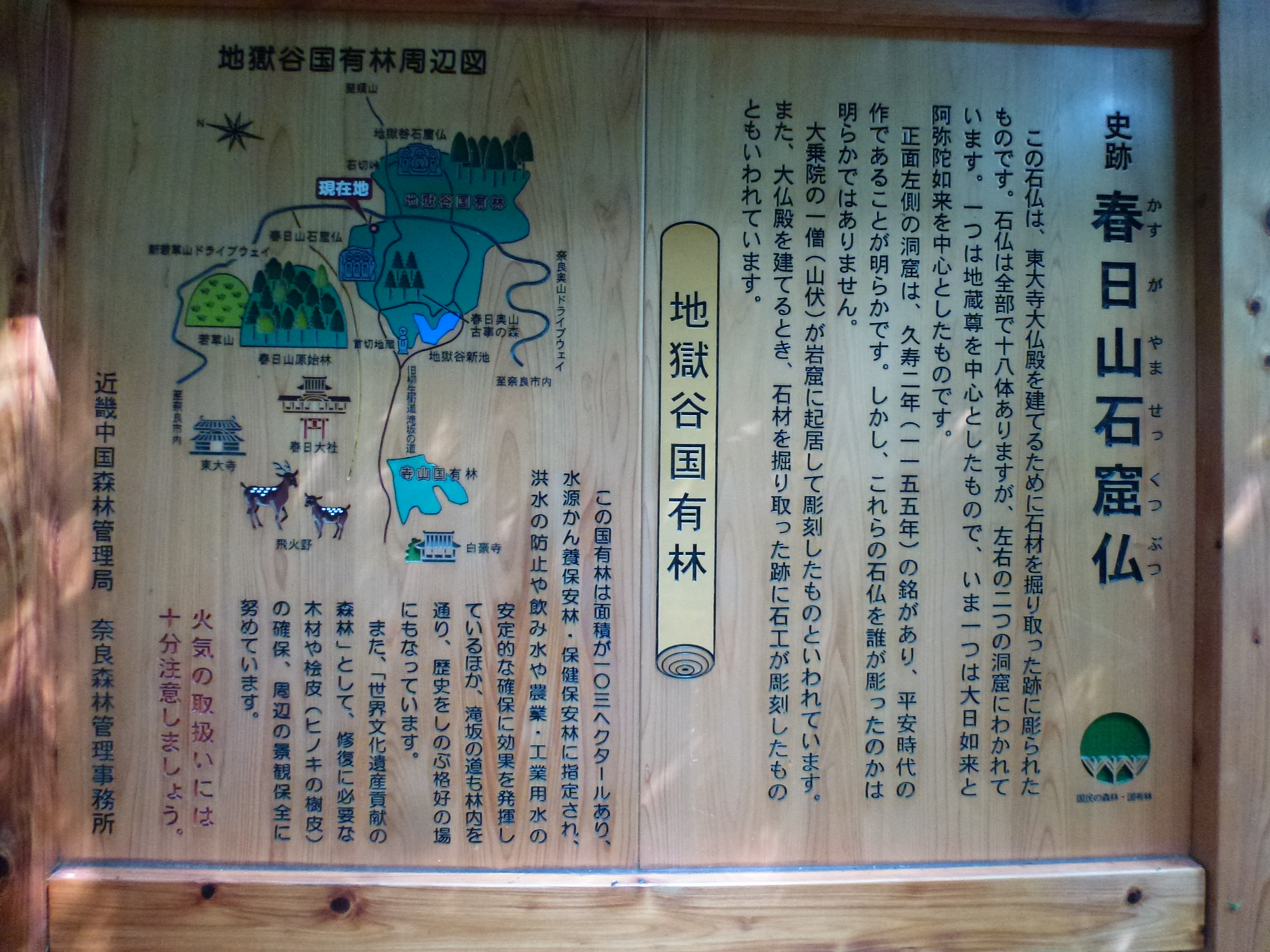 P1120602.JPG