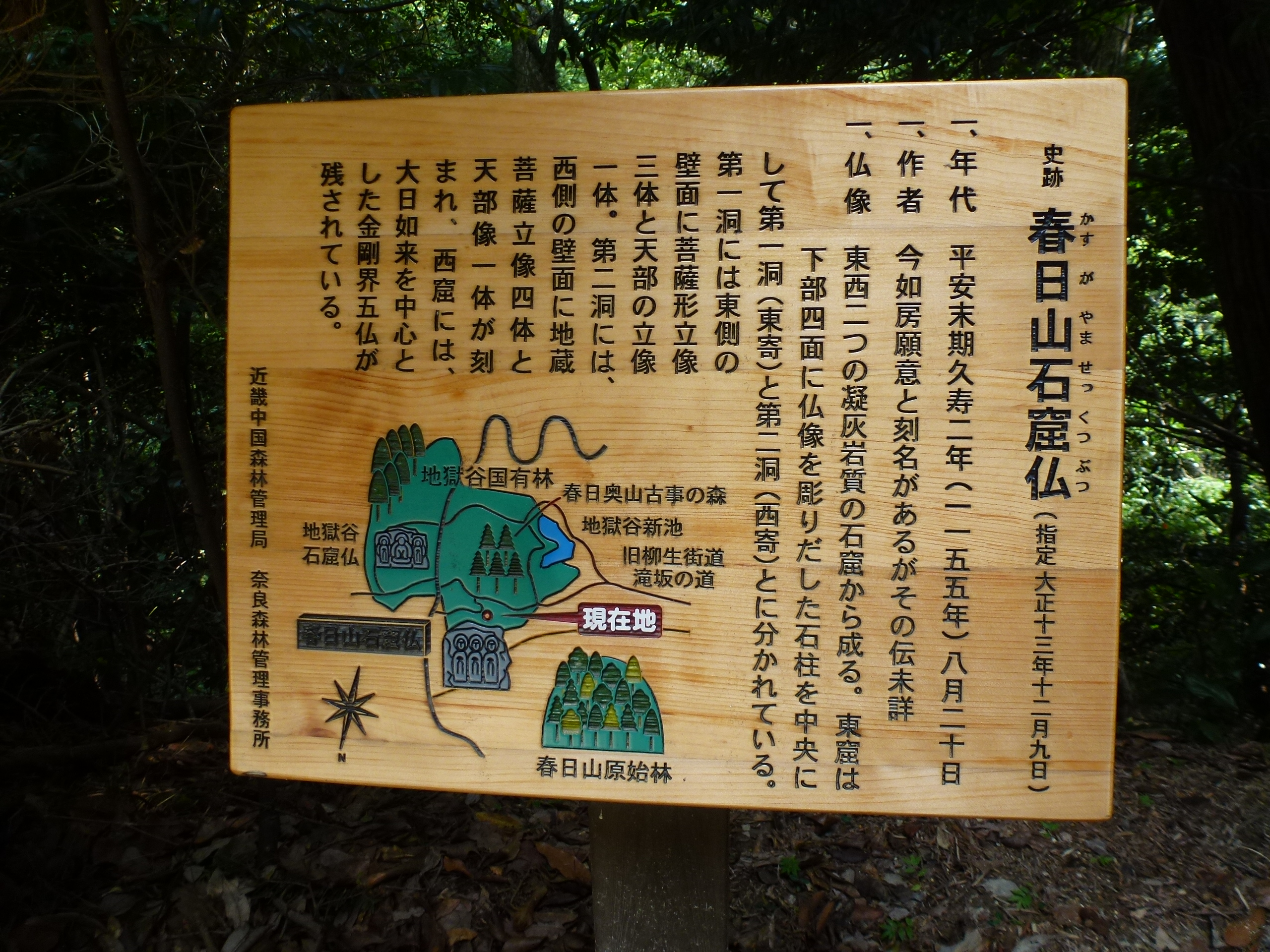 P1120609.JPG