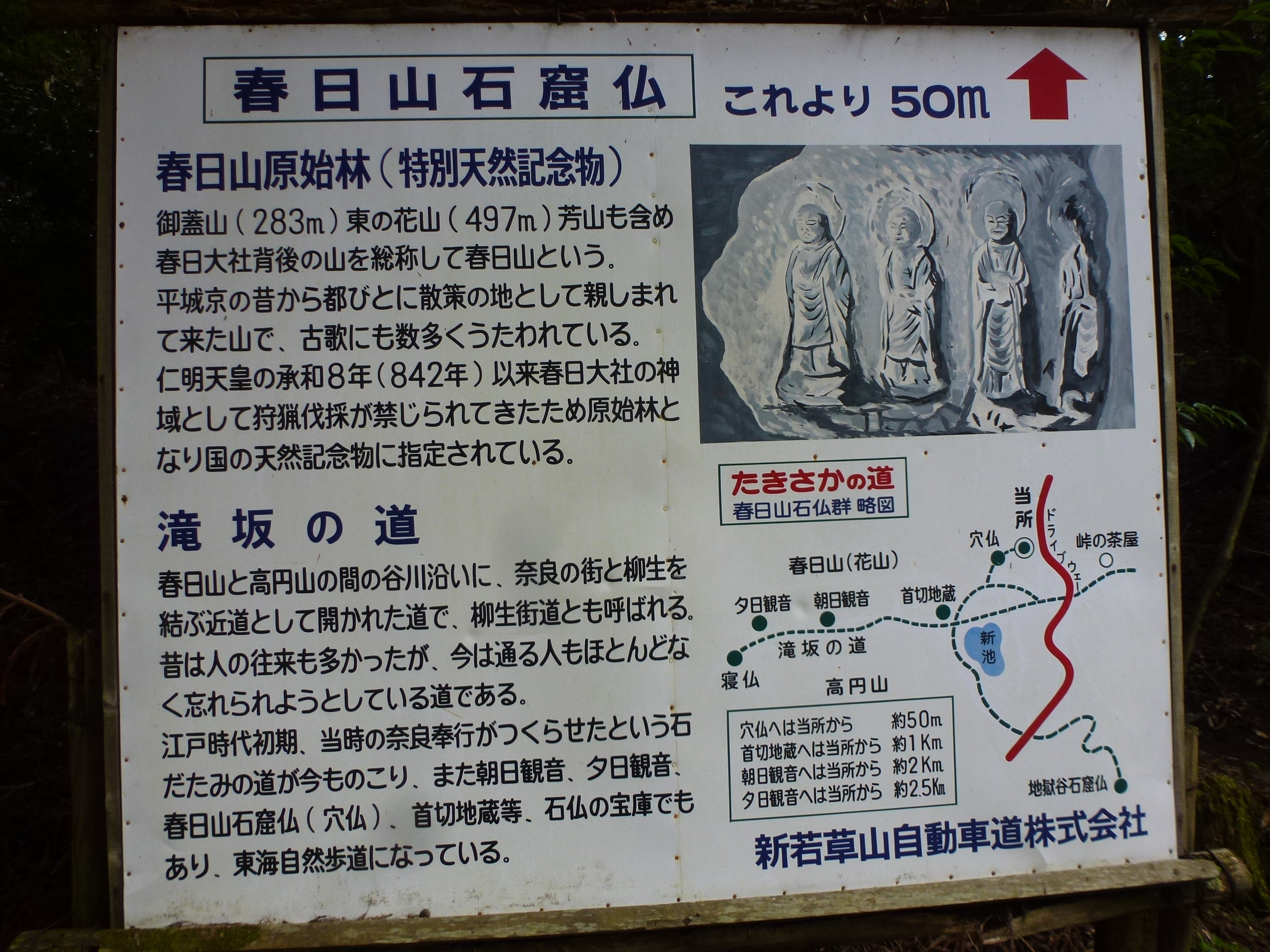 P1120611.JPG