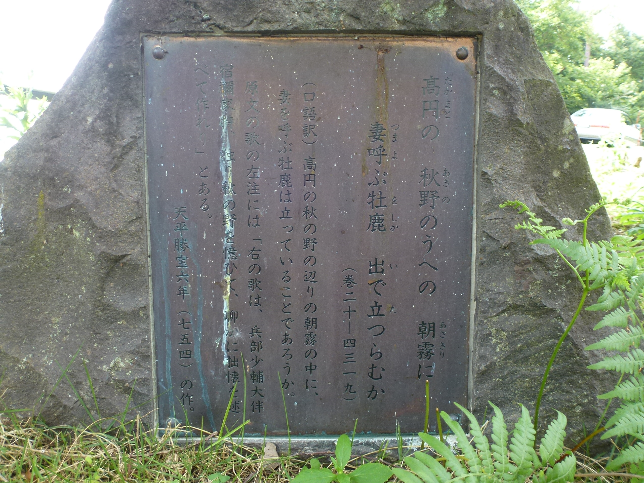 P1120613.JPG
