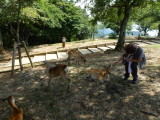 img0008.jpg