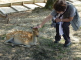 img0009.jpg