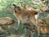 img0010.jpg