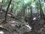img0012.jpg