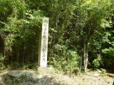 img0015.jpg