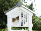 img0002.jpg