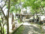 img0006.jpg