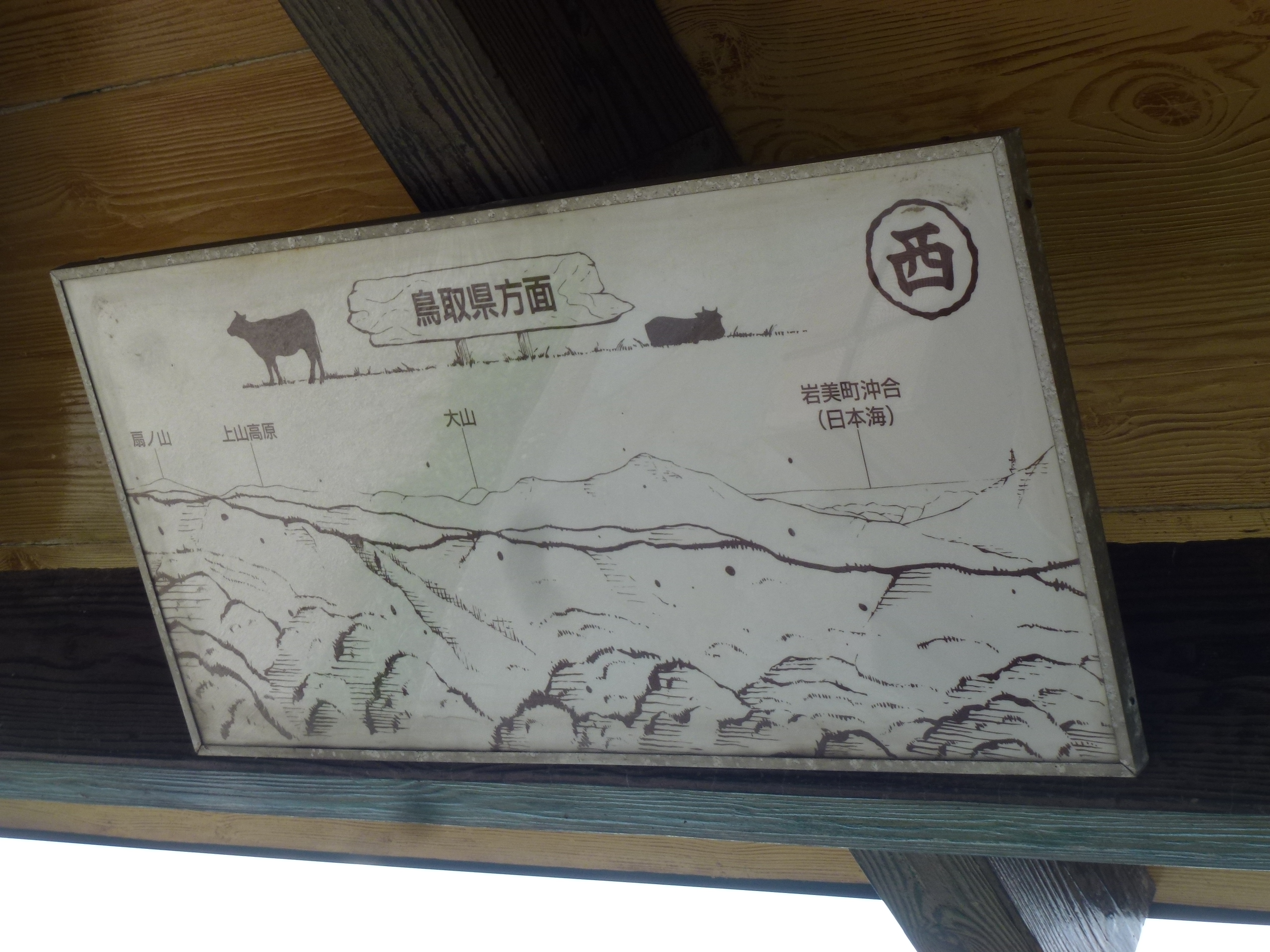 P1120936.JPG