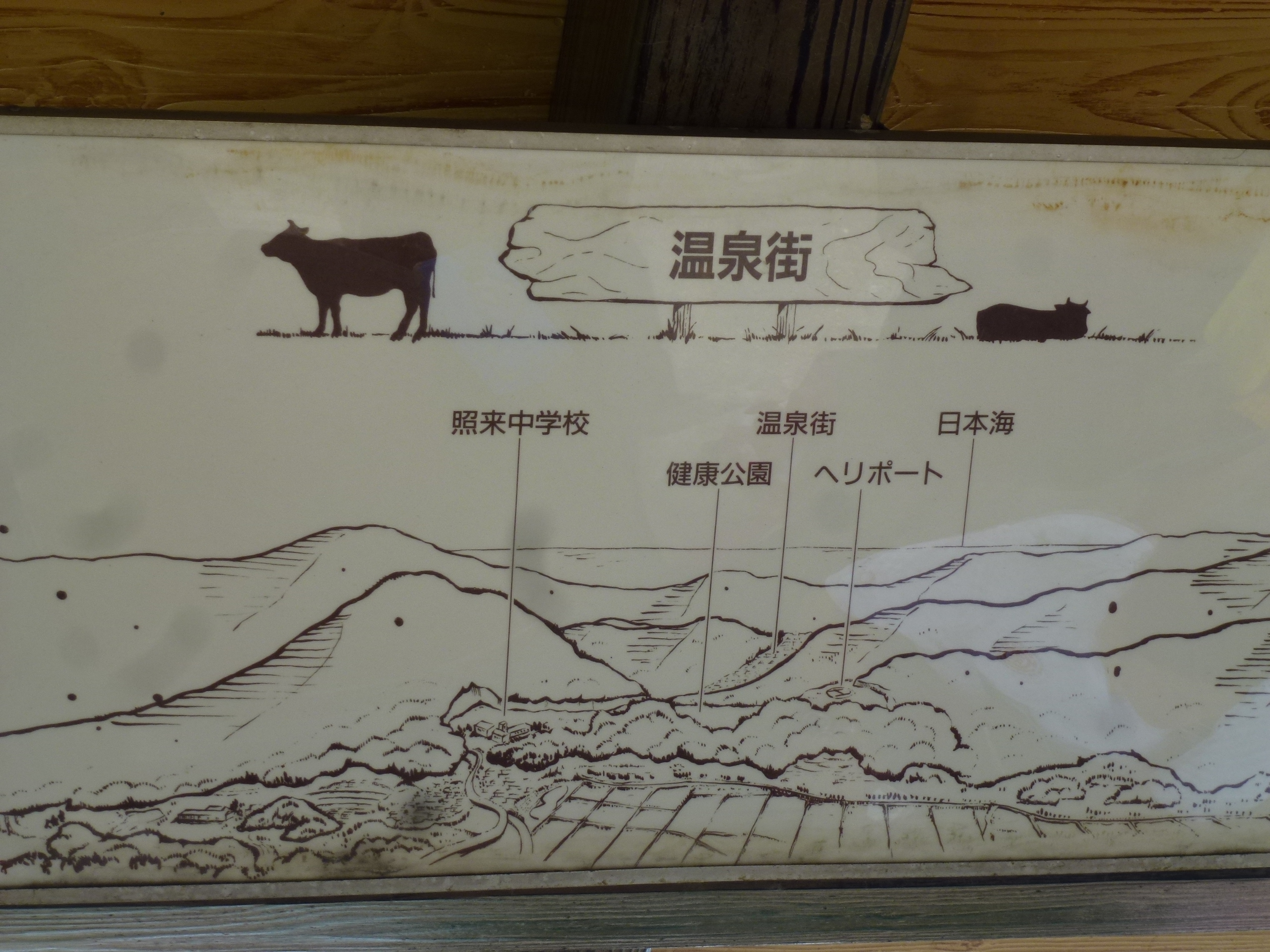 P1120937.JPG