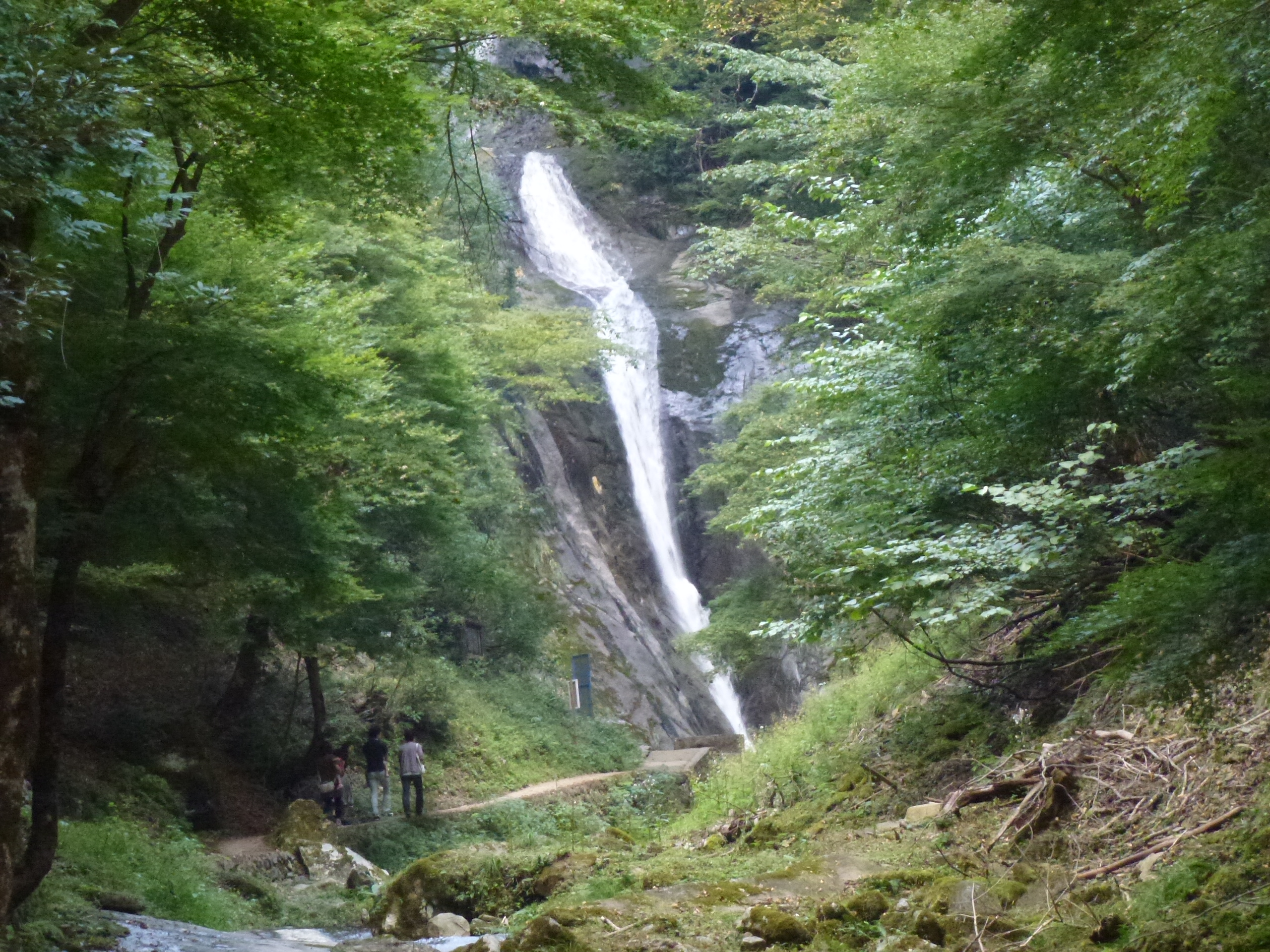 P1120988.JPG