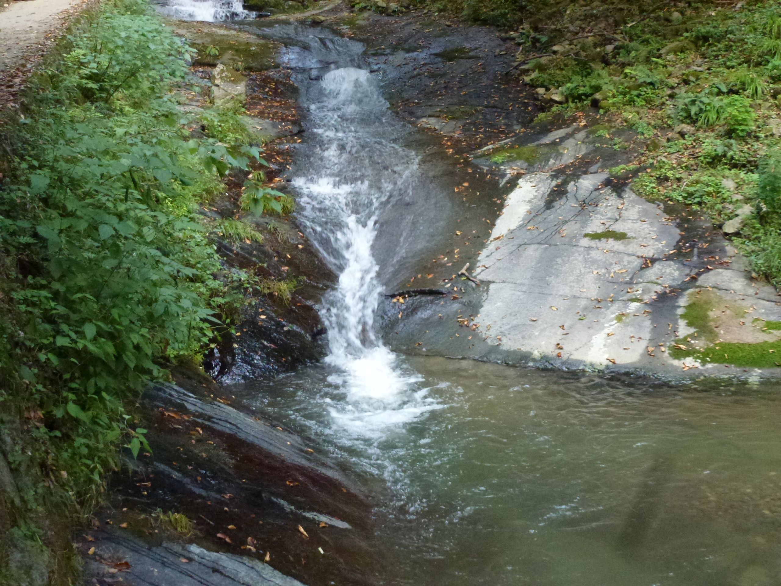 P1120991.JPG