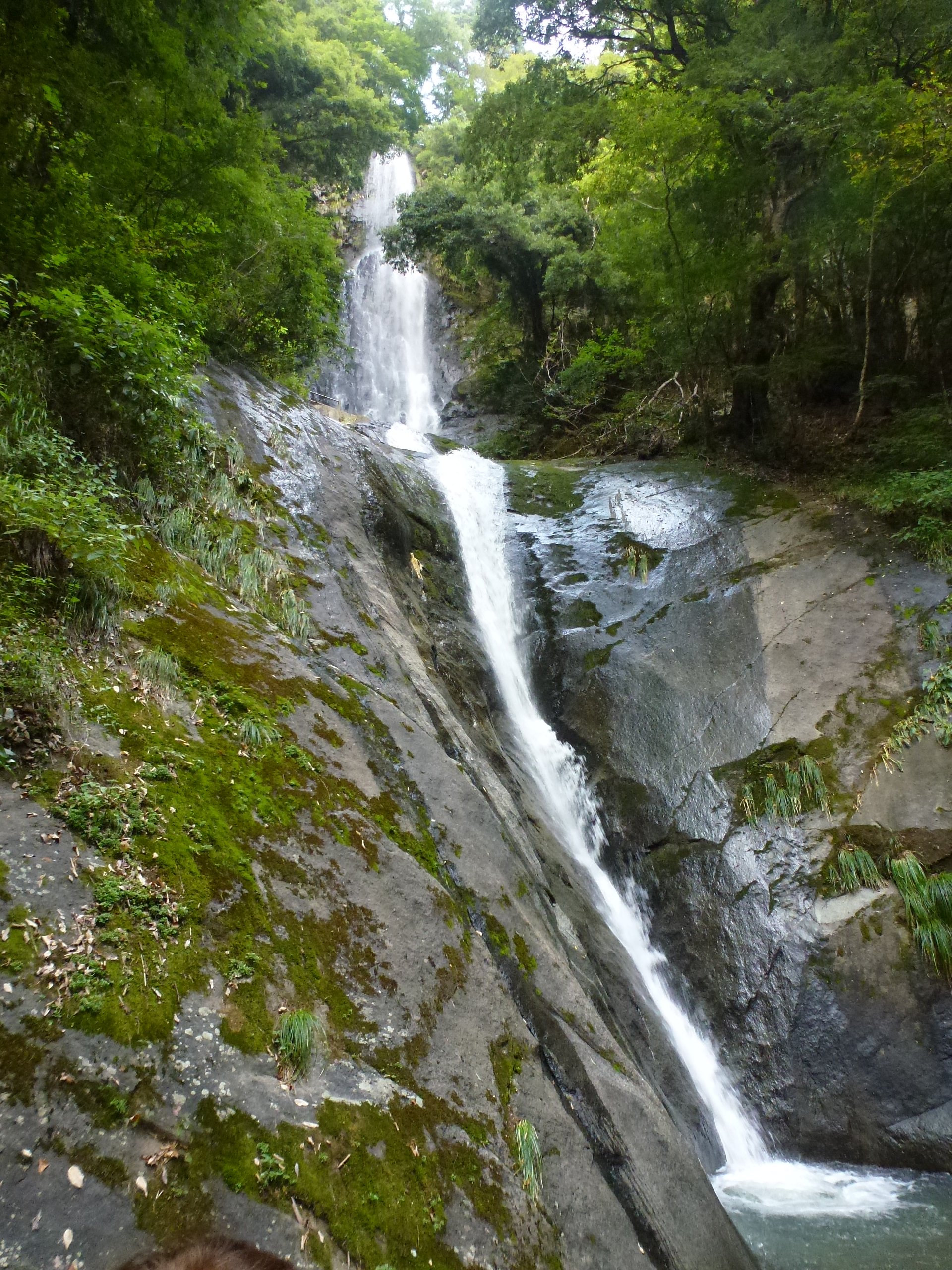 P1130002.JPG