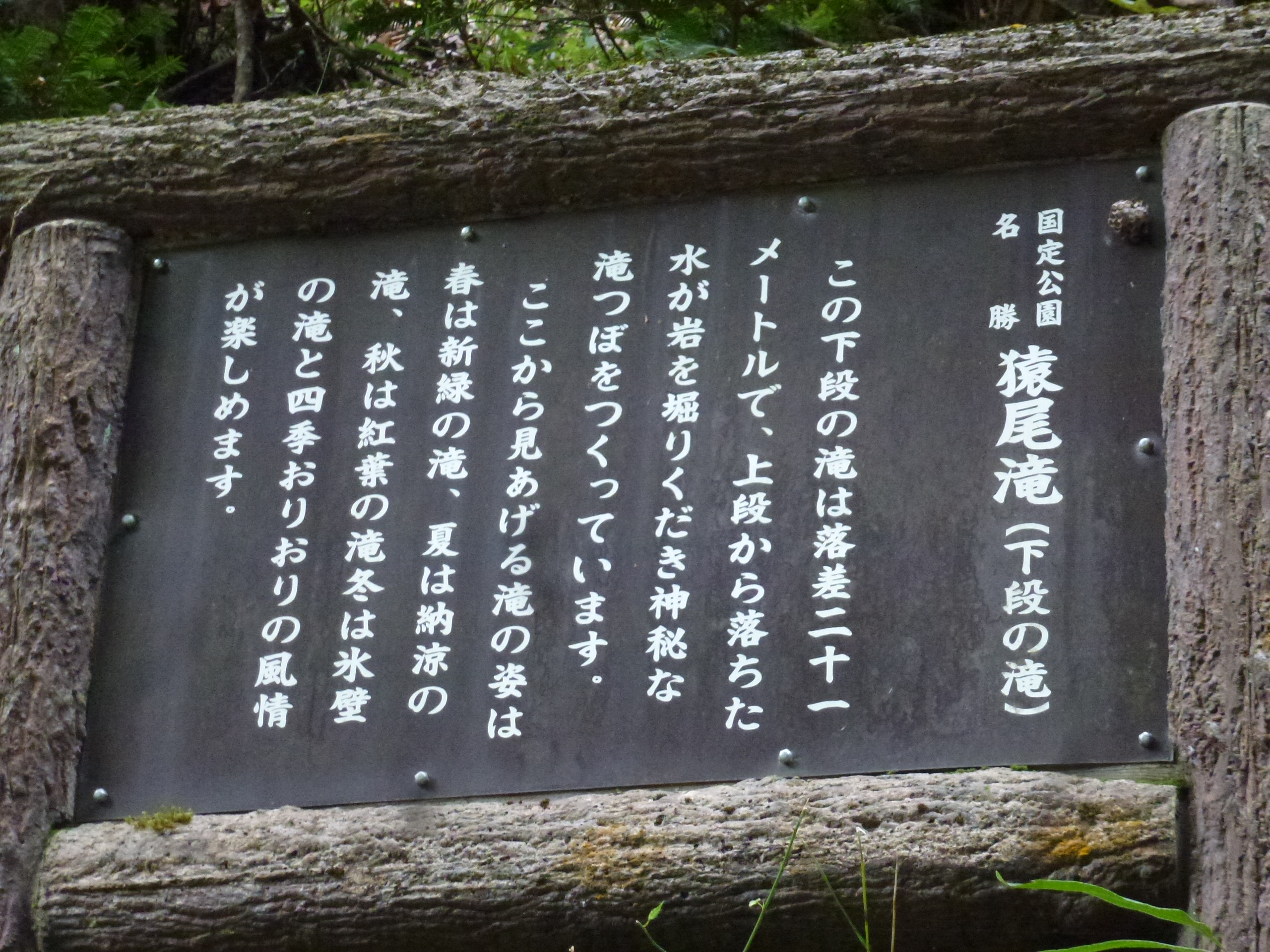 P1130003.JPG