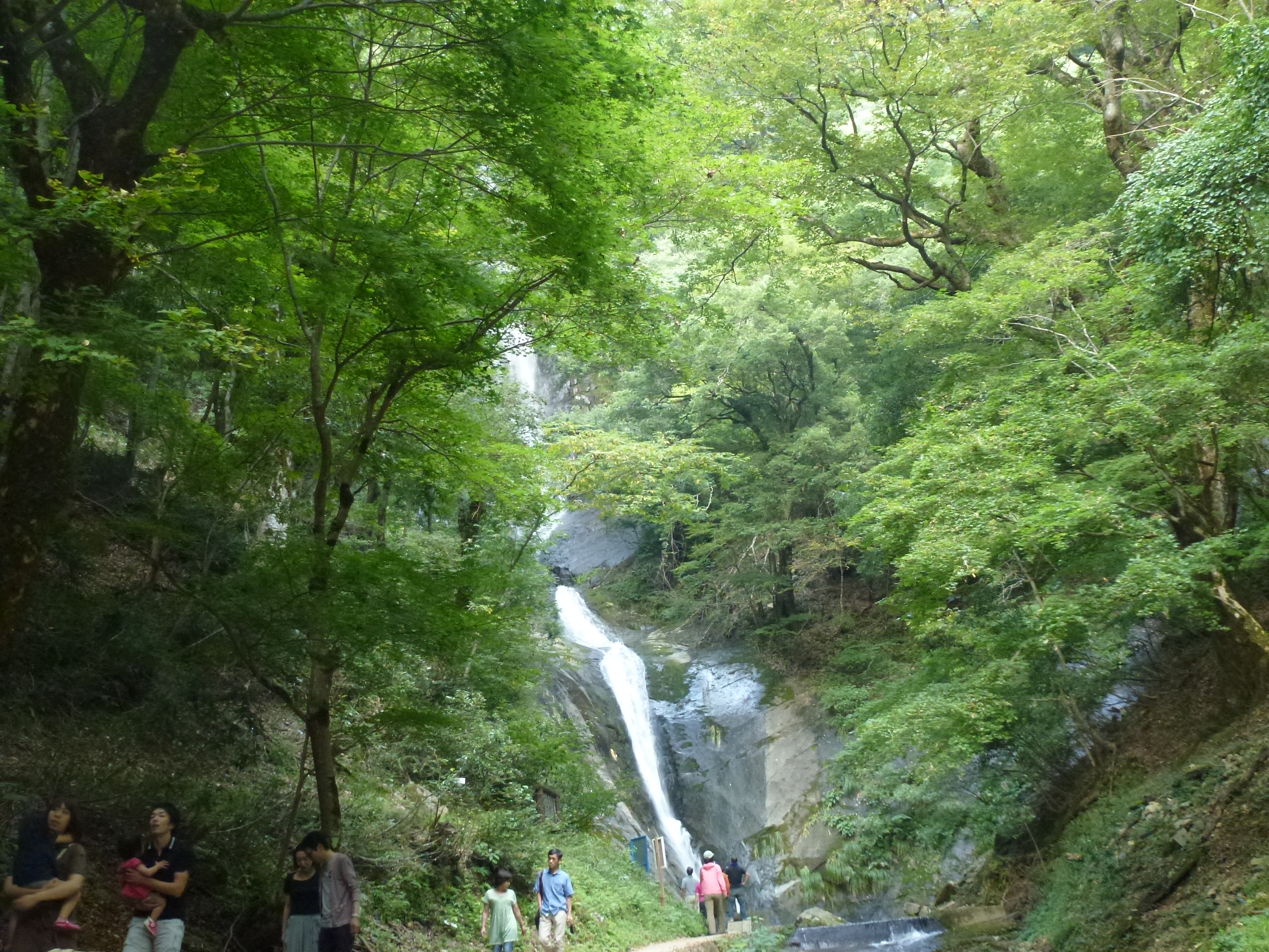 P1130004.JPG