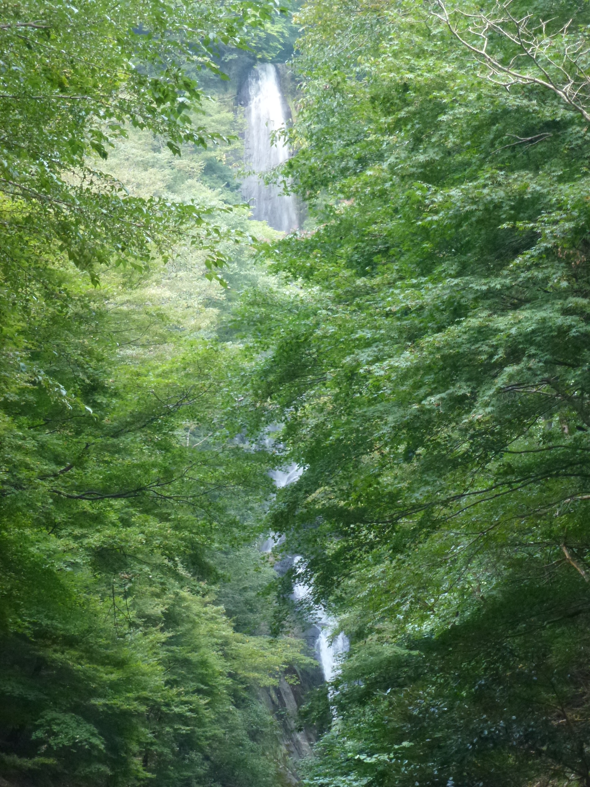 P1130005.JPG