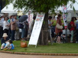 img0033.jpg