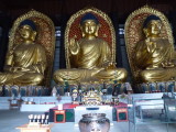 img0063.jpg