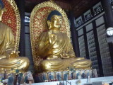 img0065.jpg