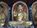 img0066.jpg