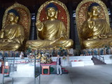 img0067.jpg