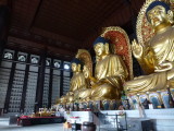 img0071.jpg