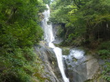 img0086.jpg