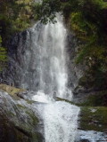img0091.jpg
