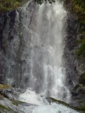 img0092.jpg
