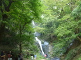 img0096.jpg