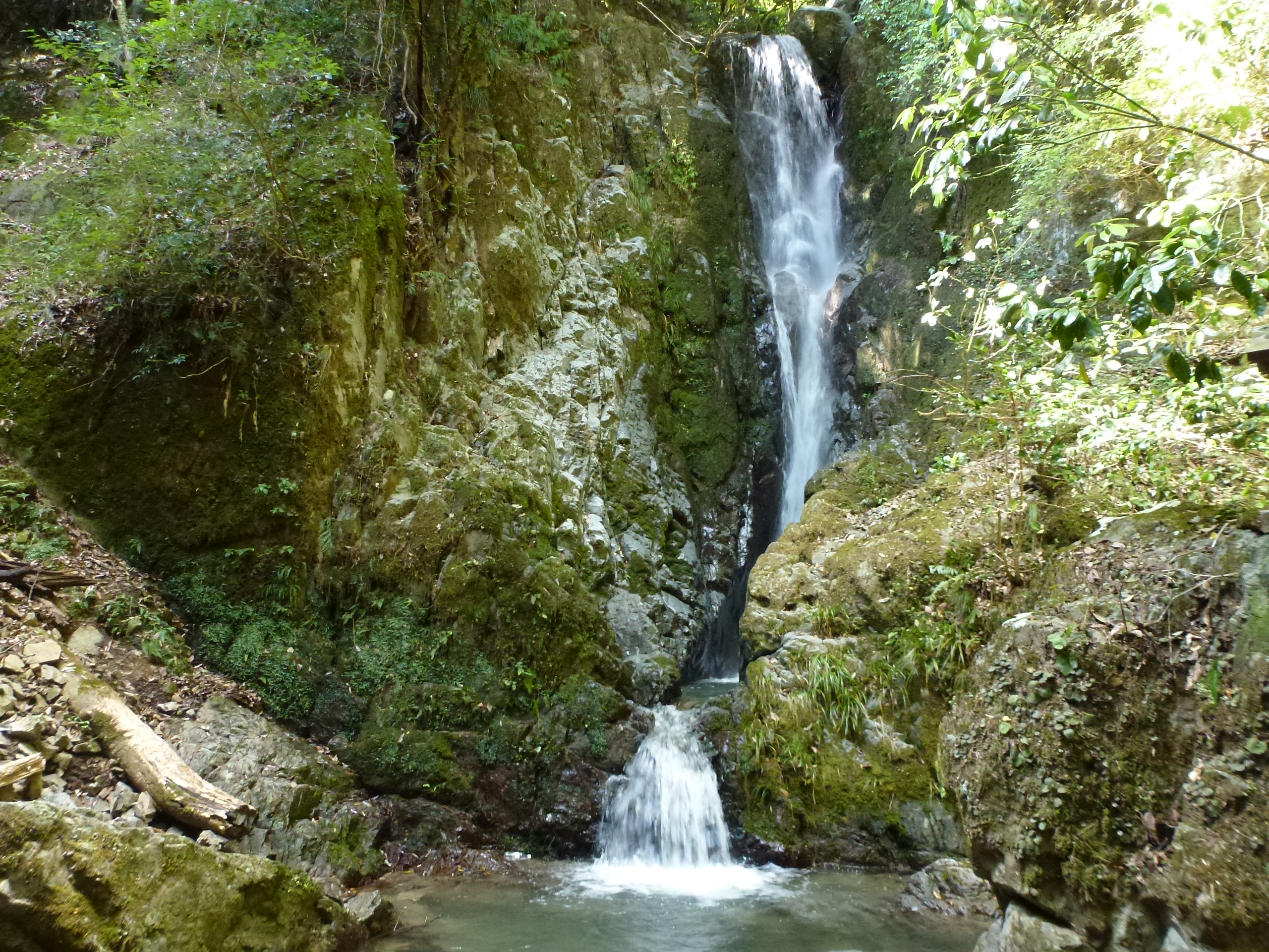 P1130029.JPG