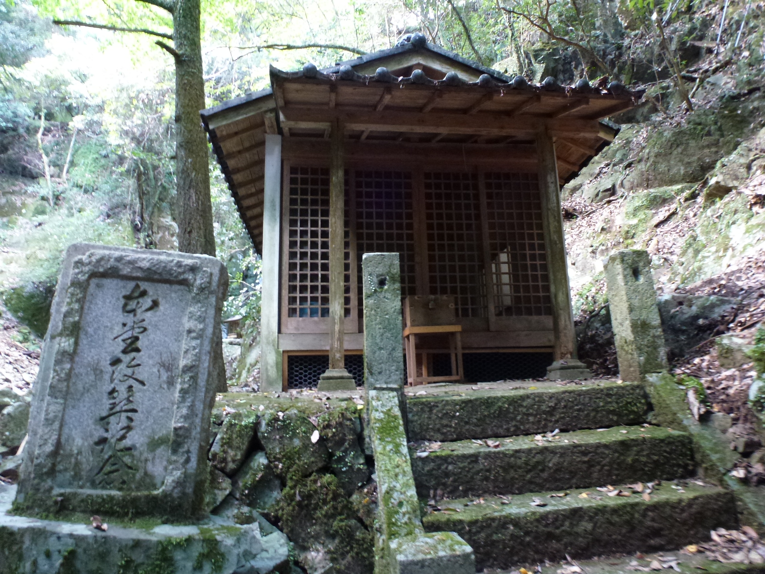 P1130030.JPG