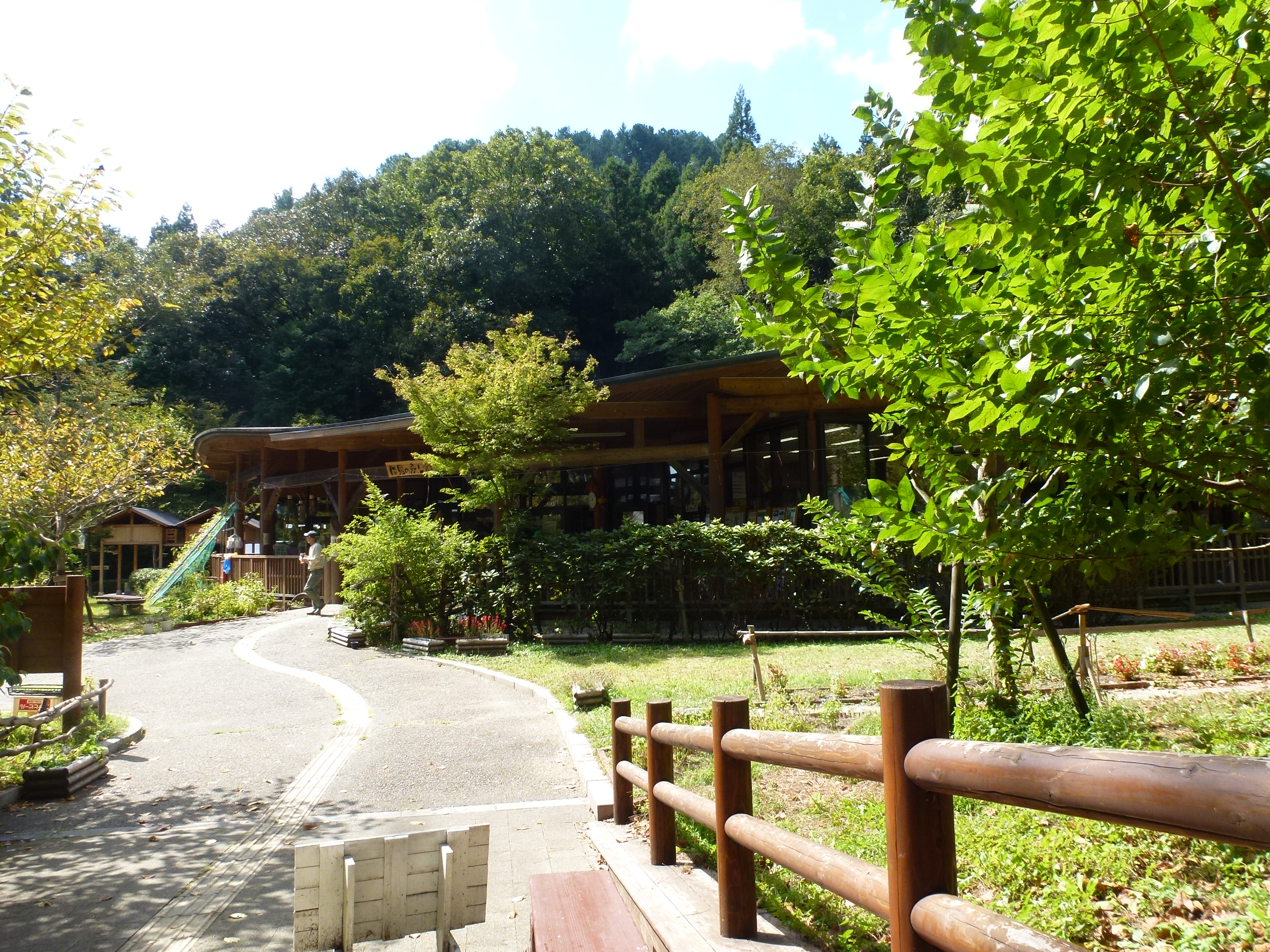 P1130032.JPG