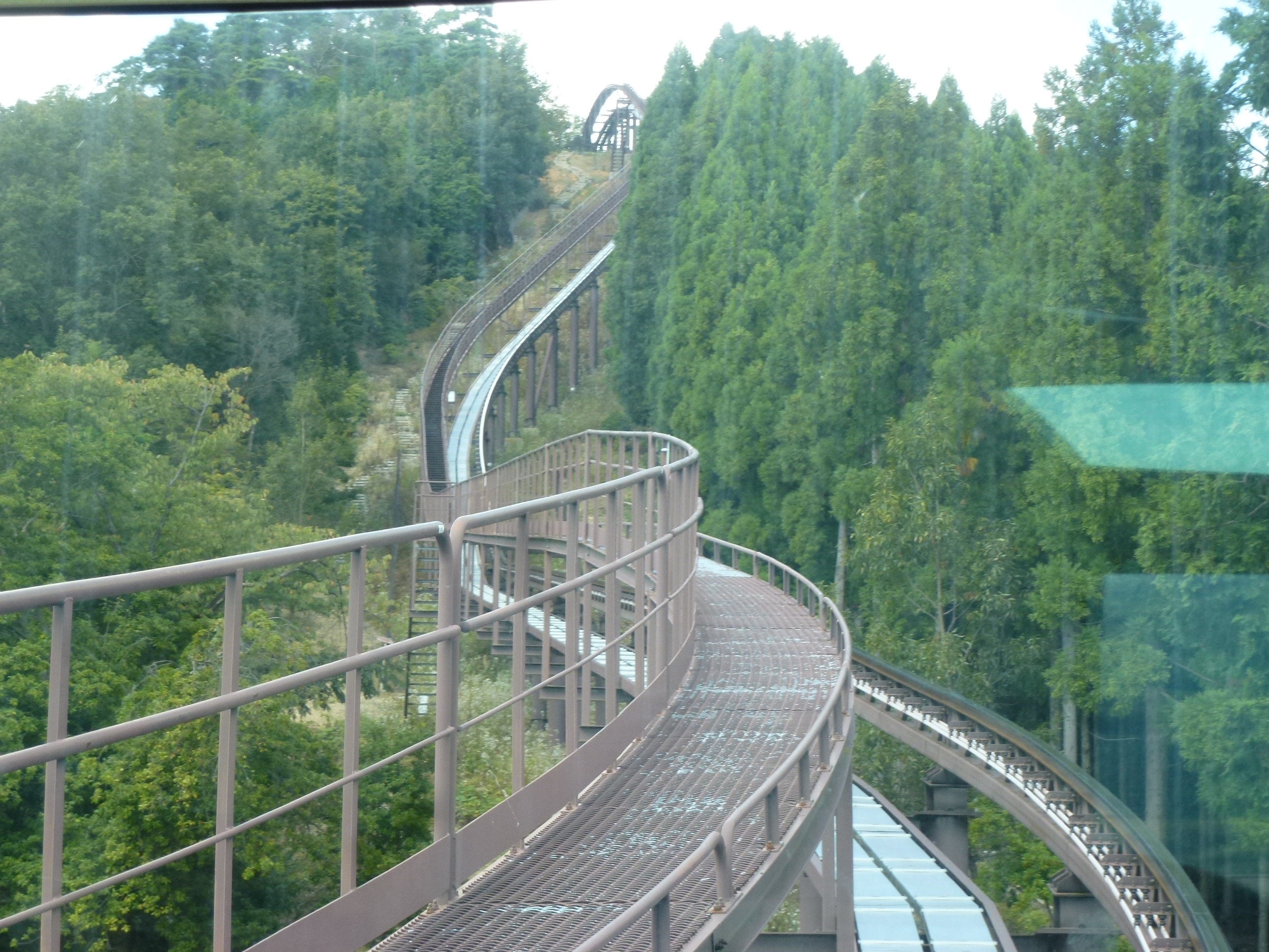 P1130037.JPG