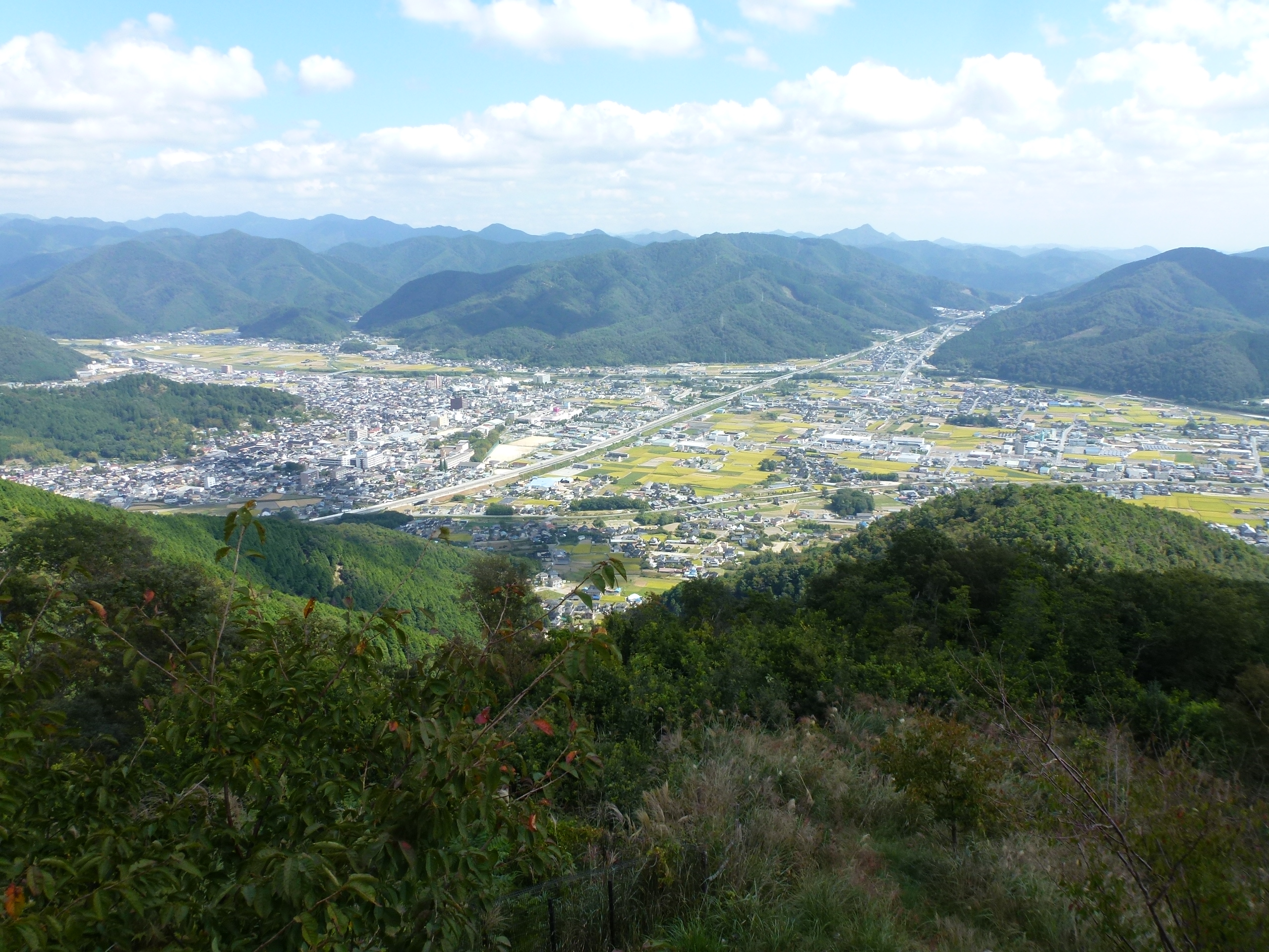 P1130045.JPG