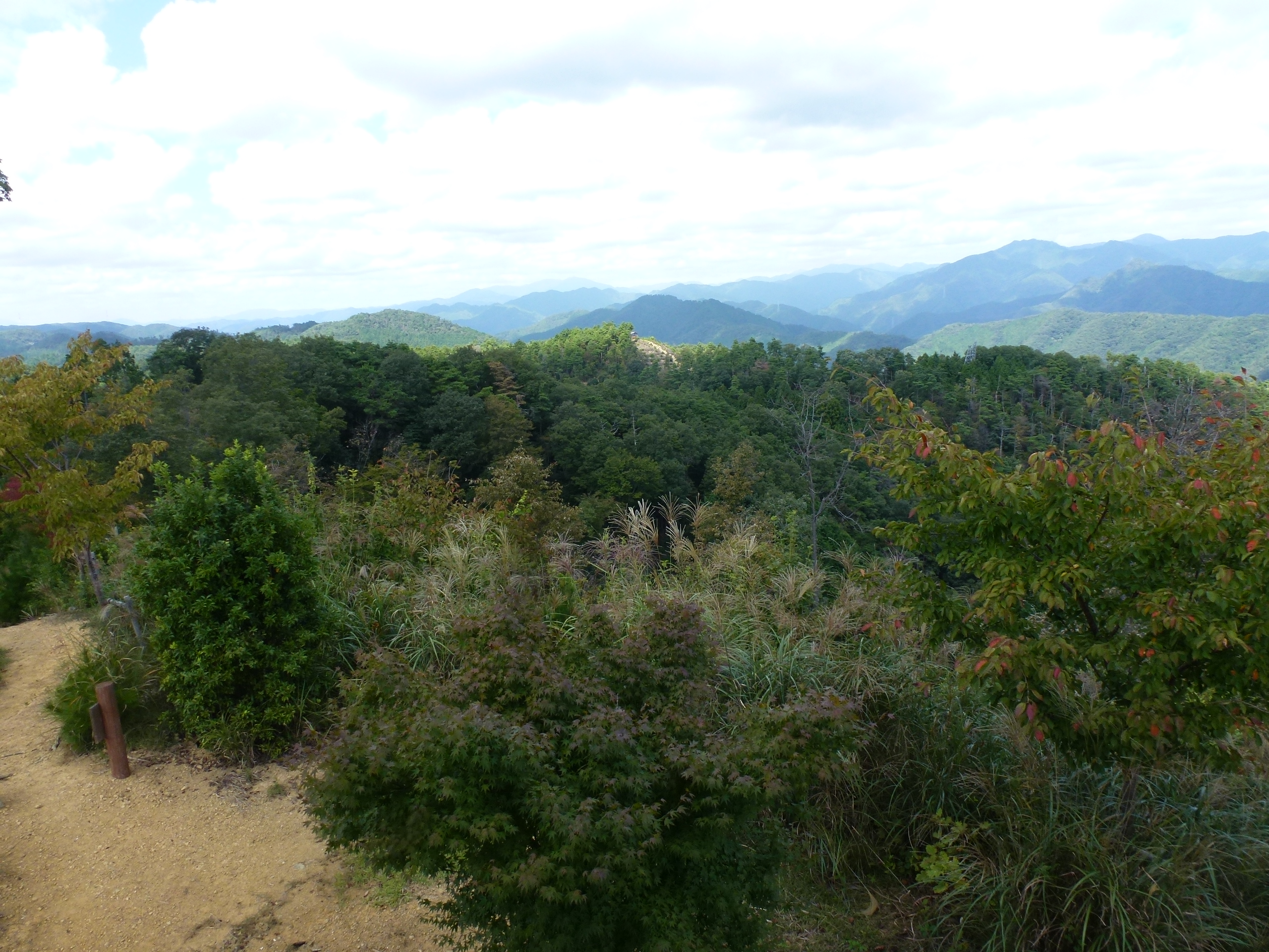 P1130046.JPG