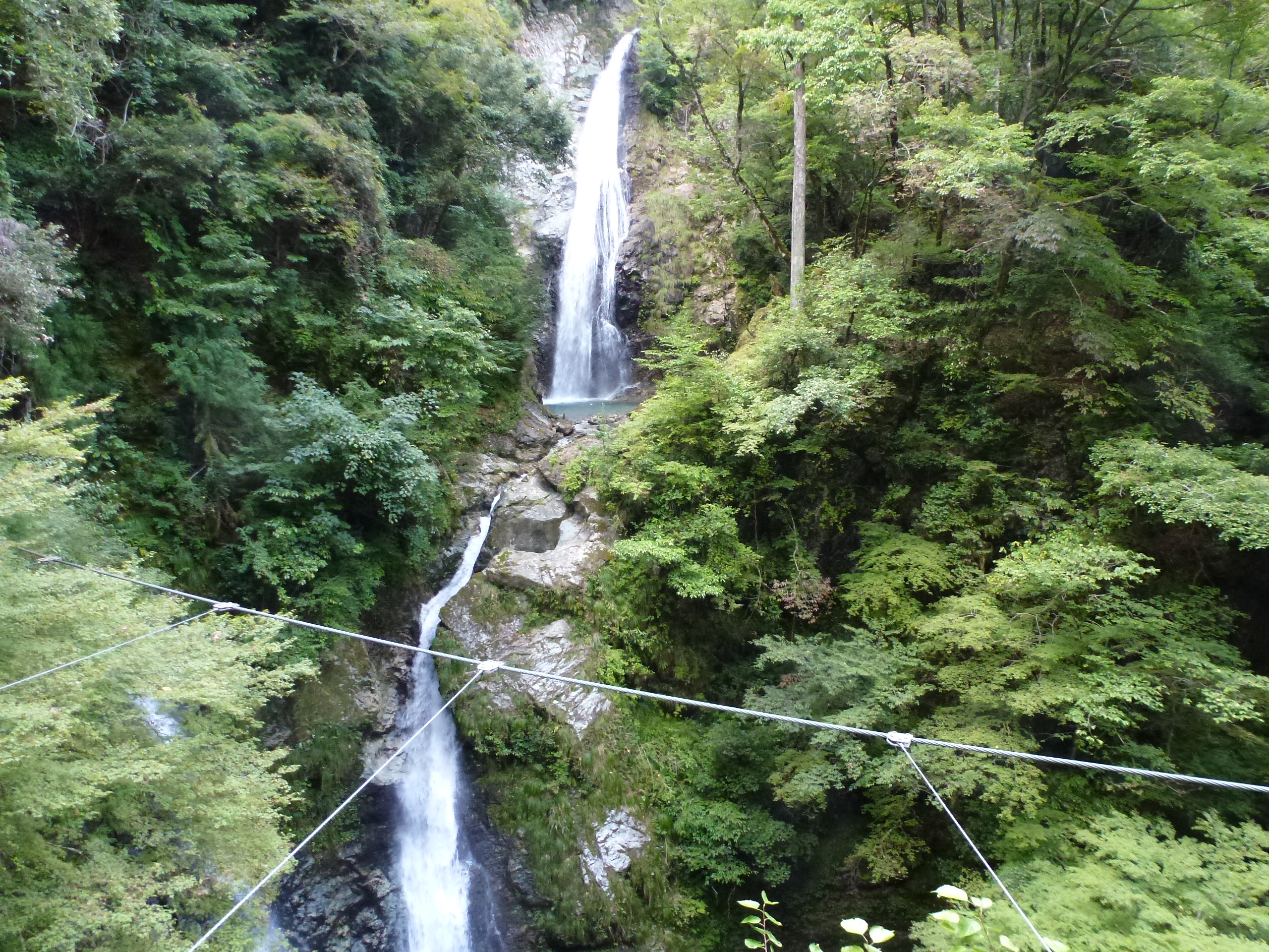 P1130077.JPG
