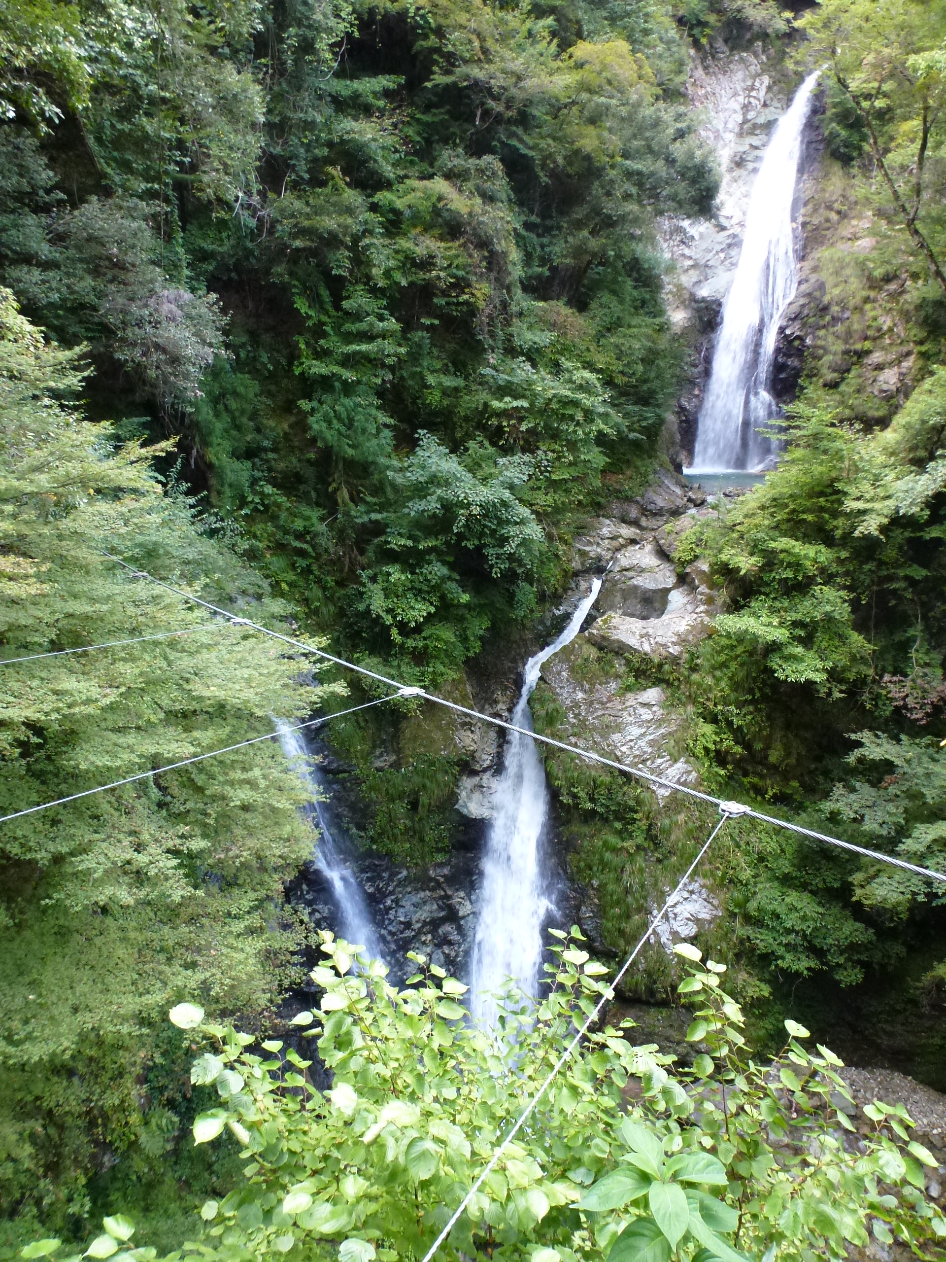 P1130079.JPG