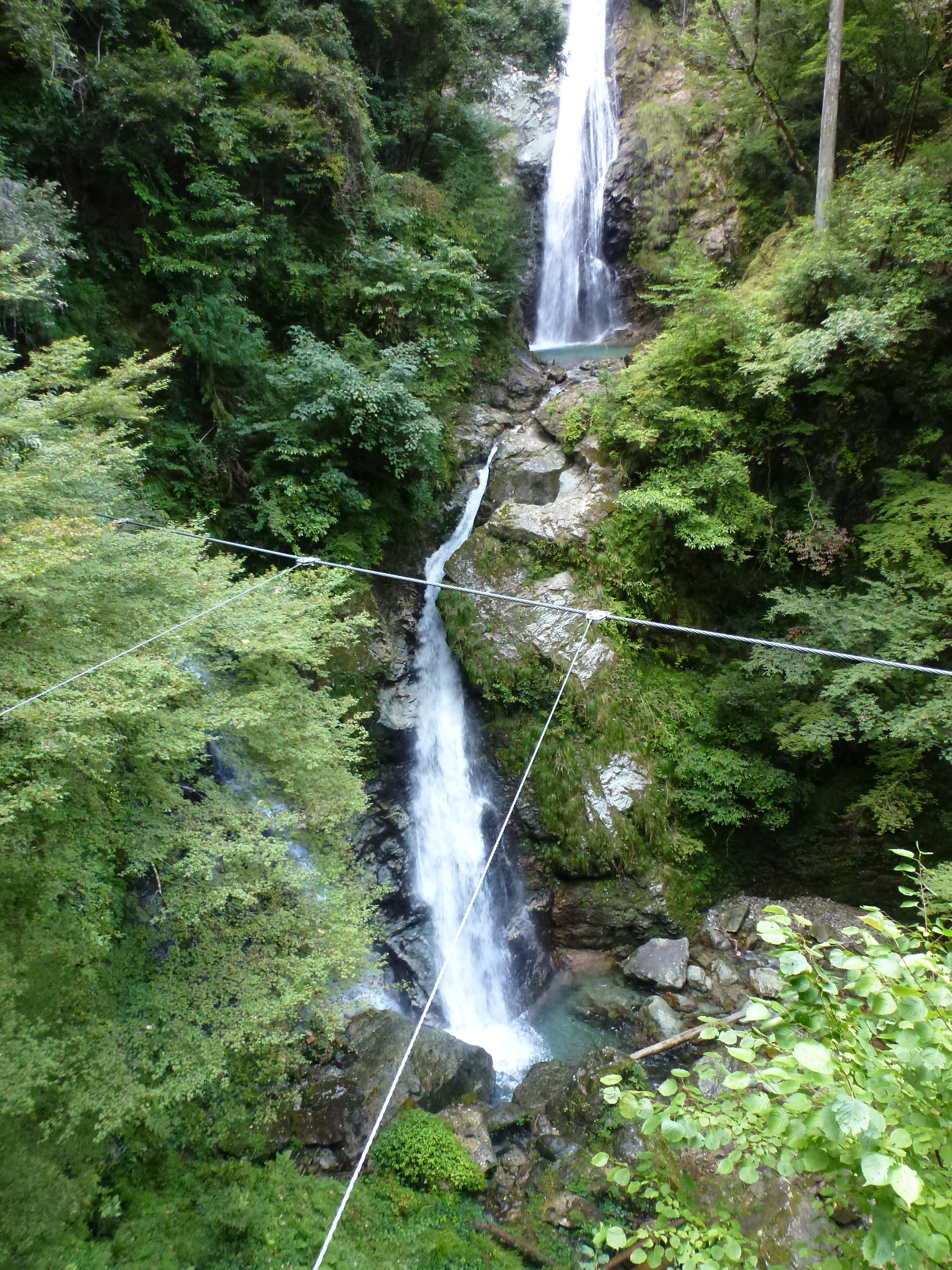 P1130080.JPG