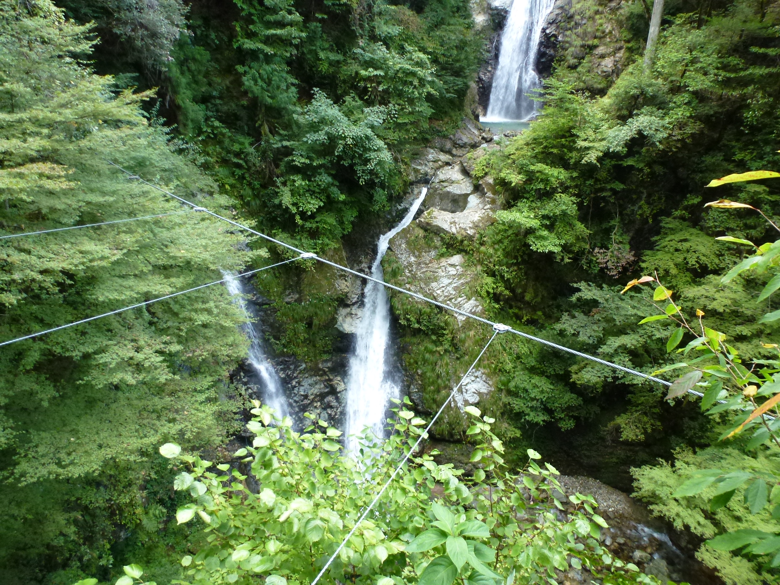 P1130084.JPG