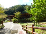 img0008.jpg