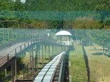 img0015.jpg