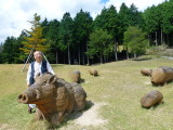 img0029.jpg