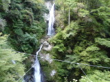 img0051.jpg